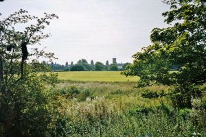 View of Hospital from road